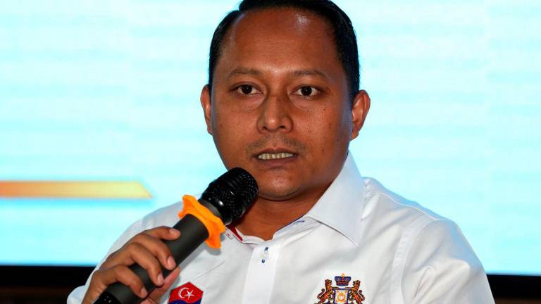 State Education and Information Committee chairman Aznan Tamin - Bernamapix