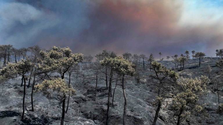 Smoke billowing from a forest fire in the coastal Syrian province of Latakia on July 5, 2025. (Photo by OMAR HAJ KADOUR / AFP)