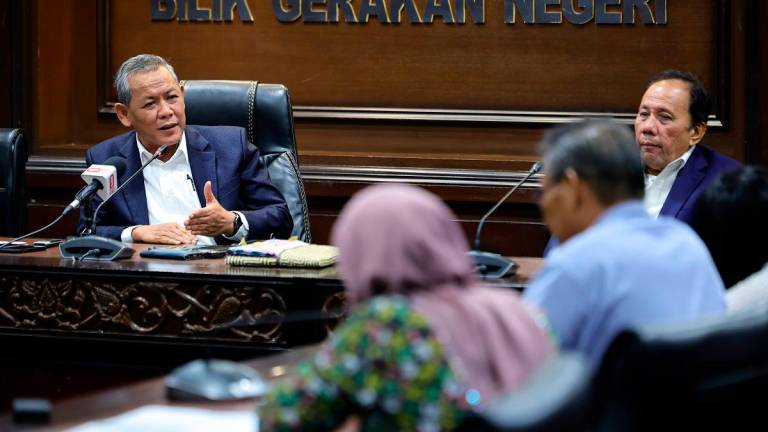 - BERNAMApix
