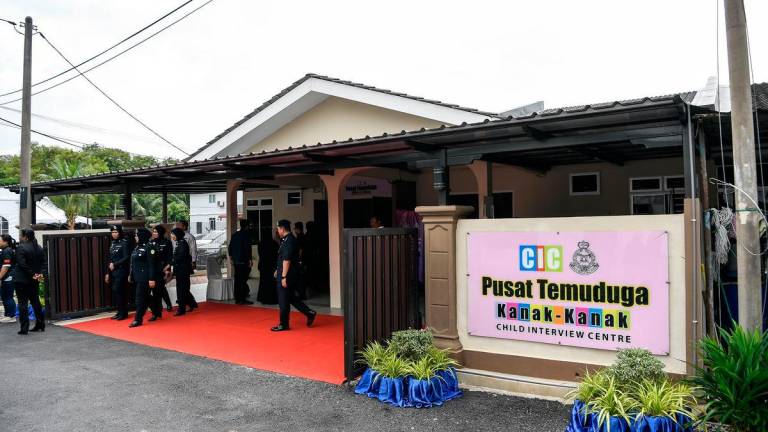 Bernamapix