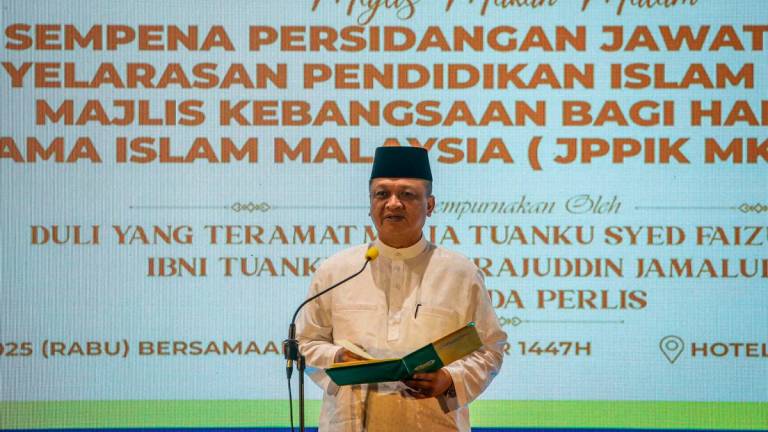 Bernamapix