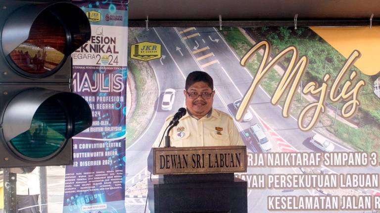 Ir. Mohd Faizul Mohd Ali Hanapiah - BERNAMAPIX