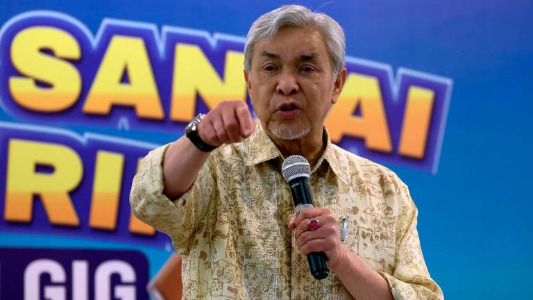 - BERNAMApix