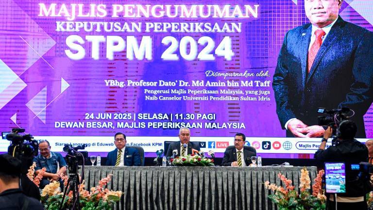 Bernamapix
