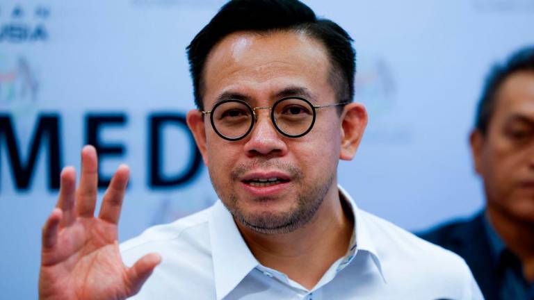 Bernamapix