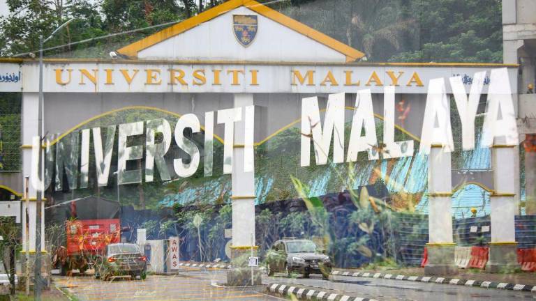 Pix for representational purposes - Adam Amir Hamzah/theSun