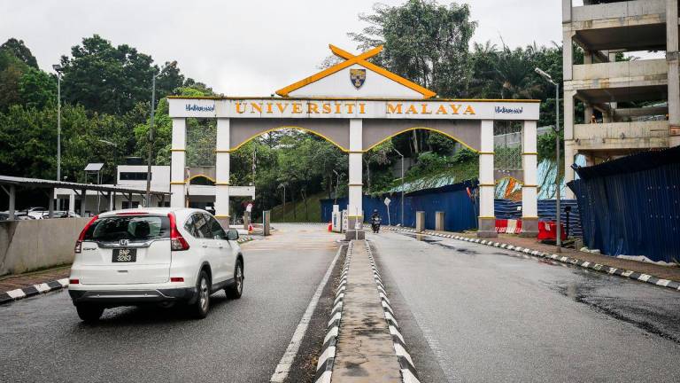 Pix for representational purposes - Adam Amir Hamzah/theSun