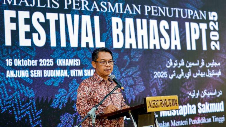 Bernamapix