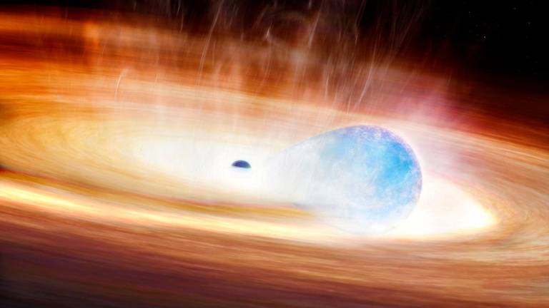 An artist’s conception shows a massive star being stretched by the gravitational forces of a nearby black hole prior to the star’s supernova explosion. Melissa Weiss/Center for Astrophysics | Harvard &amp; Smithsonian (CfA)/Handout via Reuterspix