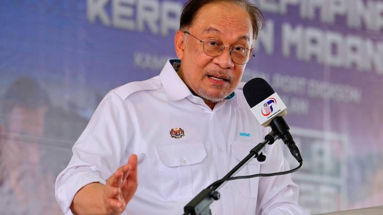 - BERNAMApix