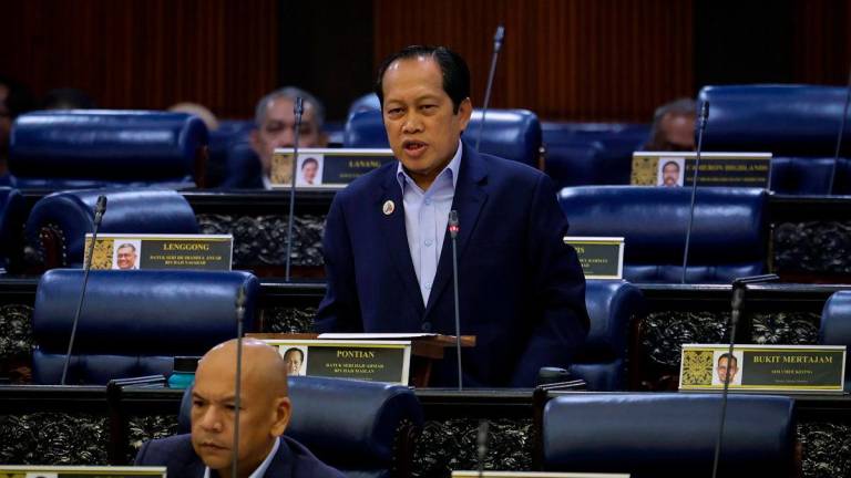 Datuk Seri Ahmad Maslan - BERNAMA