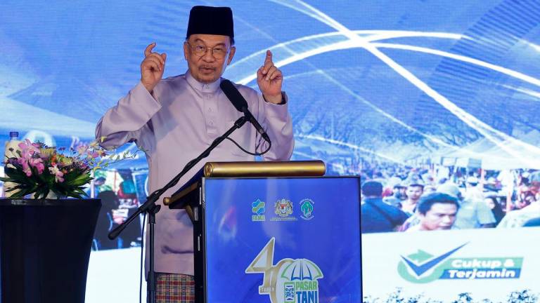 Bernamapix