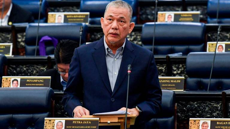 Deputy Prime Minister Datuk Seri Fadillah Yusof. Bernamapix