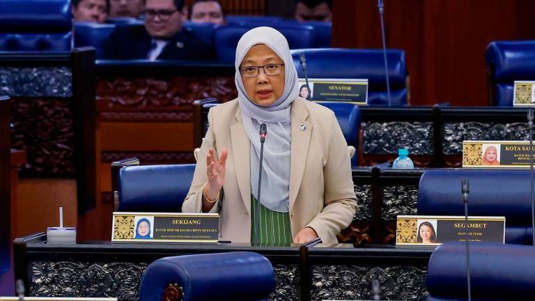 - BERNAMApix