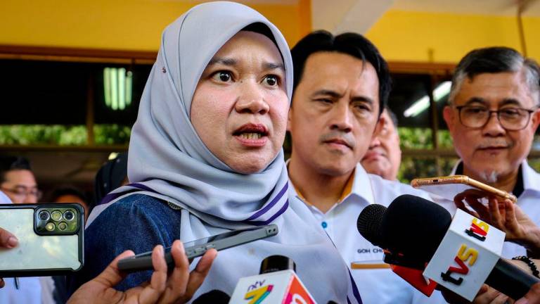 Bernamapix