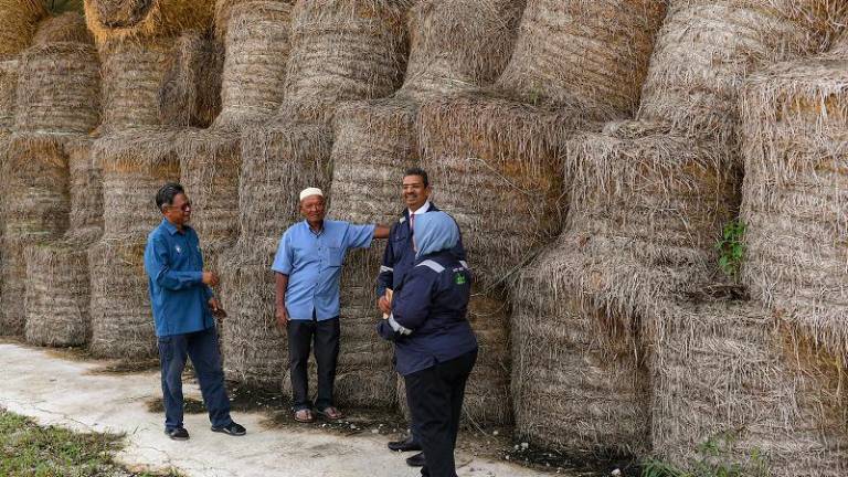 Dua pesawah sertai persidangan perubahan iklim PBB COP29 di Baku hujung minggu ini