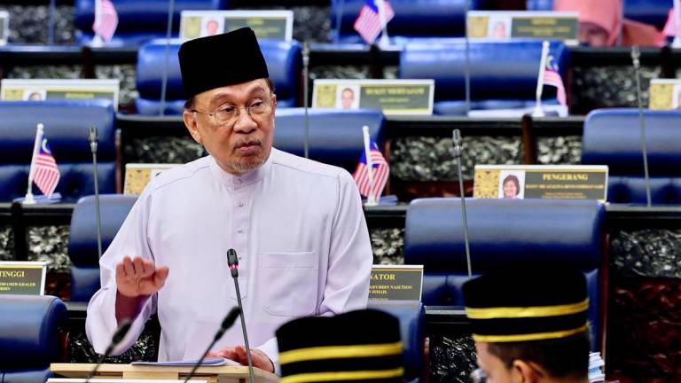 BERNAMAPIX
