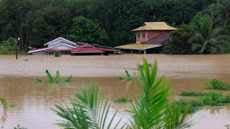 Pix for representational purposes - BERNAMAPIX