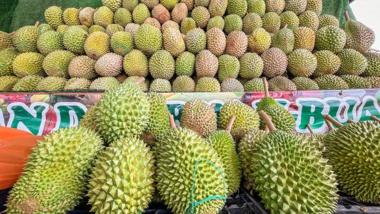 Mohamad Sabu has encouraged more hotels in Malaysia to embrace the country’s “king of fruits” by allowing guests to enjoy durian on-site in a controlled environment. - ADIB RAWI YAHYA THESUN