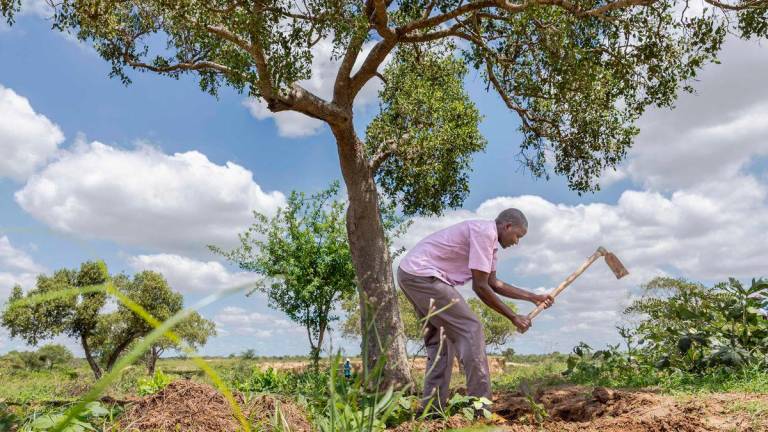 Thomas Kazungu Karisa, 36, a beneficiary of funding through a non-profit organisation GiveDirectly, tills with a hoe at a communal patch of land where villagers from Milore village have taken advantage to grow food crops due to it’s proximity to a nearby dam in Kilifi County. AFPpix