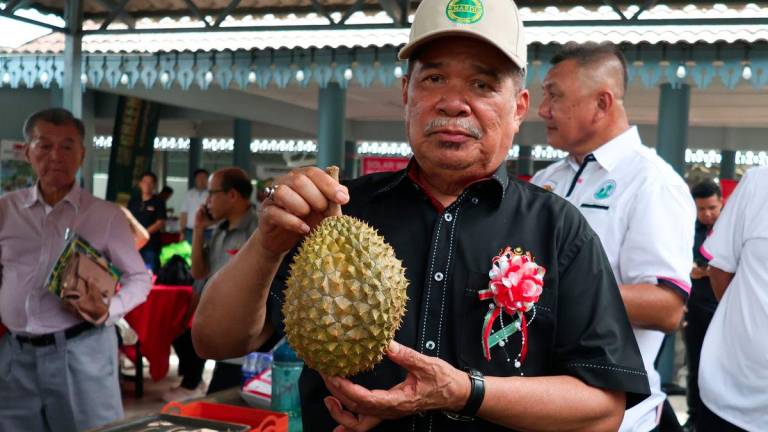 Menteri Pertanian dan Keterjaminan Makanan Datuk Seri Mohamad Sabu menunjukkan ‘raja buah’ durian Musang King ketika melawat gerai jualan durian sempena Pesta Durian 2025 anjuran Persatuan Pelabur Pertanian Gua Musang (PPPGM) di Dewan Kompleks Perdana hari ini. - fotoBERNAMA