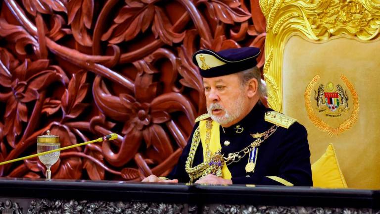 Yang di-Pertuan Agong Sultan Ibrahim - BERNAMA