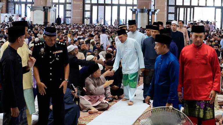 BERNAMAPIX