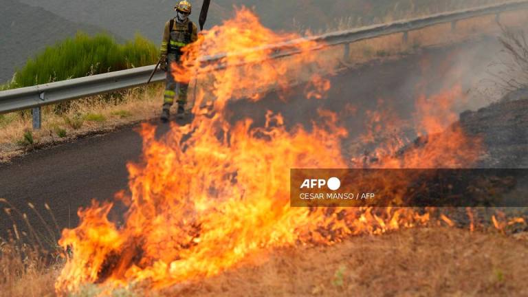 Forest firefighters fight a wildfire in Castrillo de Cabrera, northwestern Spain, on August 16, 2025. As Spain enters its third week of heatwave alerts, firefighters continue to battle blazes in the northwest and west of the country, with army units deployed to help contain the blazes. - Cesar Manso / AFP