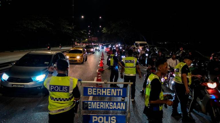 - BERNAMApix