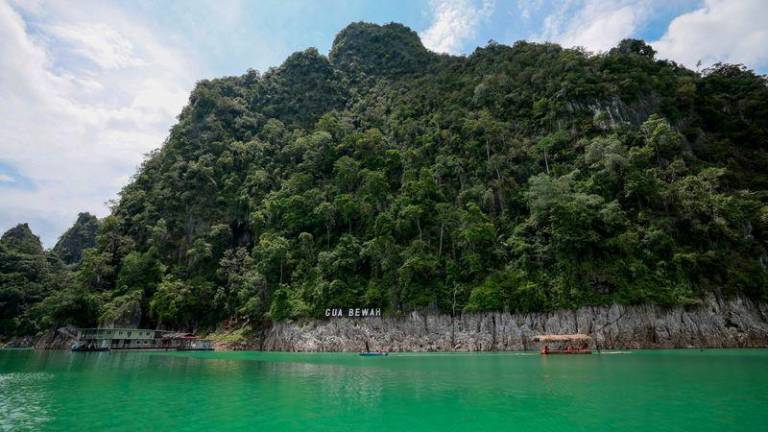 Taman Negara Terengganu di Tasik Kenyir, Hulu Terengganu yang menjadi destinasi pelancongan kerana keindahan flora dan faunanya. - fotoBERNAMA