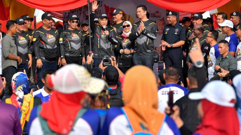 Bernamapix