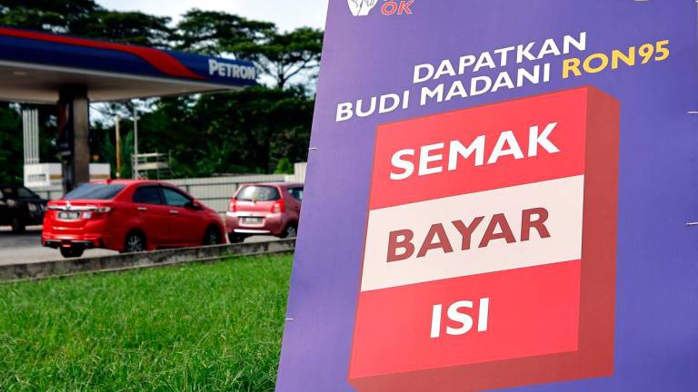 Pix for visual purposes. Bernamapix