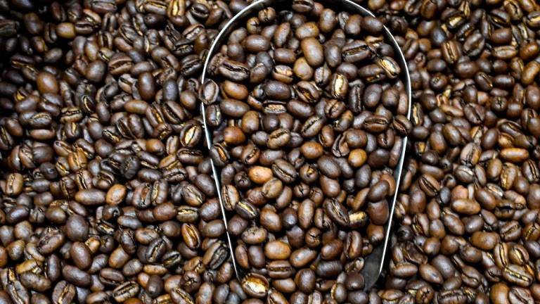 For representational purposes only -(FILES) Arabica coffee beans are seen at a coffee roastery in Banda Aceh on July 9, 2025, Photo by Chaideer MAHYUDDIN / AFP.