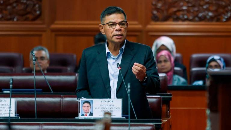 Saifuddin Nasution. Bernamapix