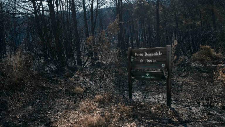 This photograph shows a burnt sign which reads “Foret Domaniale de Thezan” following wildfires in Thezan-des-Corbieres, southern France on August 9, 2025. Emmanuelle Bernier’s sheep leave the scorched lands of Fontjoncouse, in the Aude region, under the broken gaze of the breeder, forced to temporarily entrust her animals to a local winegrower who takes in the animals of these farmers who have lost everything following the country’s biggest wildfire in at least half a century.
