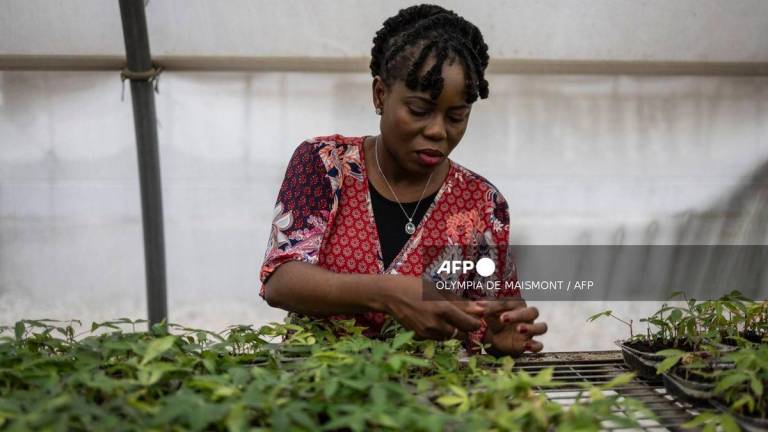 Nigerian agronomist Mercy Diebiru-Ojo. Photo by OLYMPIA DE MAISMONT / AFP.