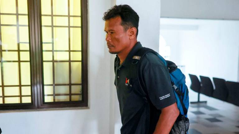 Bernamapix