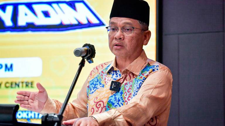 - BERNAMApix