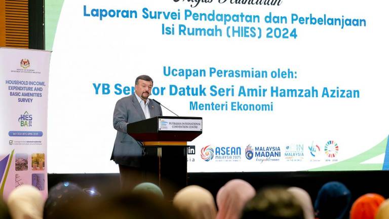 - BERNAMApix