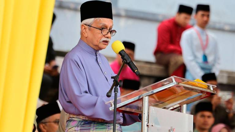 Bernamapix