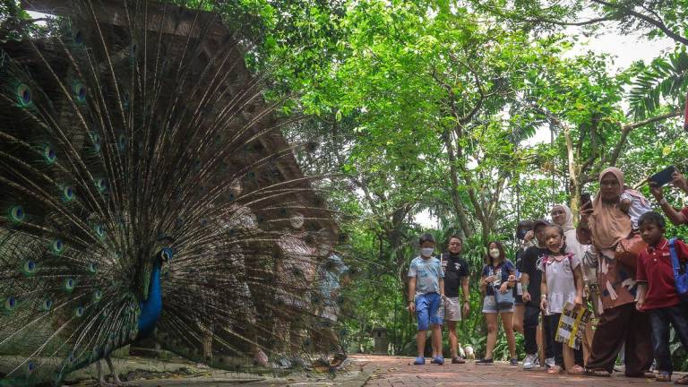 Gambar Hiasan-cuti sekolah- ADIB RAWI YAHYA/THESUN PHOTO