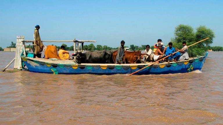 Residents travel with their cattle in a boat, as they evacuate flooded area, following monsoon rains and rising water levels of the Chenab River, in Seetpur, Punjab province, Pakistan, September 13, 2025. REUTERS/Quratulain Asim