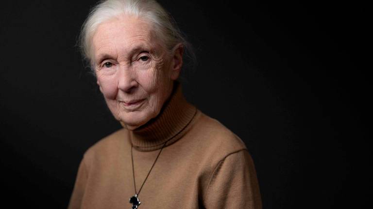 (FILES) British ethologist and primatologist Jane Goodall. - JOEL SAGET / AFP