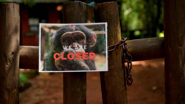 The entrance to Tacugama Chimpanzee Sanctuary, closed to the public, is pictured in Freetown, Sierra Leone June 21, 2025. - REUTERSPIX