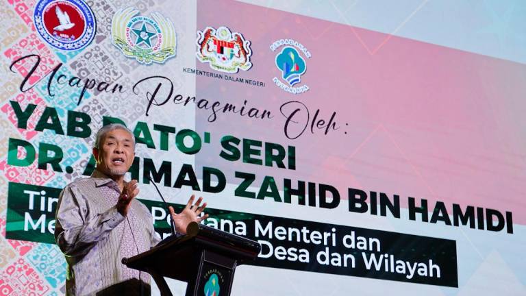 - BERNAMApix