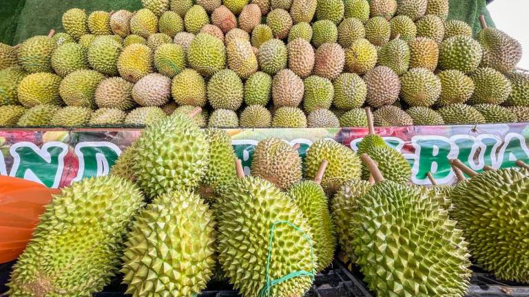 For visual purposes only: Durian - ADIB RAWI YAHYA / THESUN