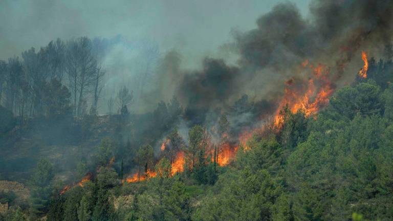 Smoke billows from a forest fire in Lagrasse, southwestern France, on August 5, 2025. A fire that broke out on August 5, 2025 afternoon in Ribaute (Aude) had already spread across 1,000 hectares by early evening, according to the prefecture, prompting the evacuation of at least one campsite and several homes, an AFP journalist reported. - IDRISS BIGOU-GILLES / AFP
