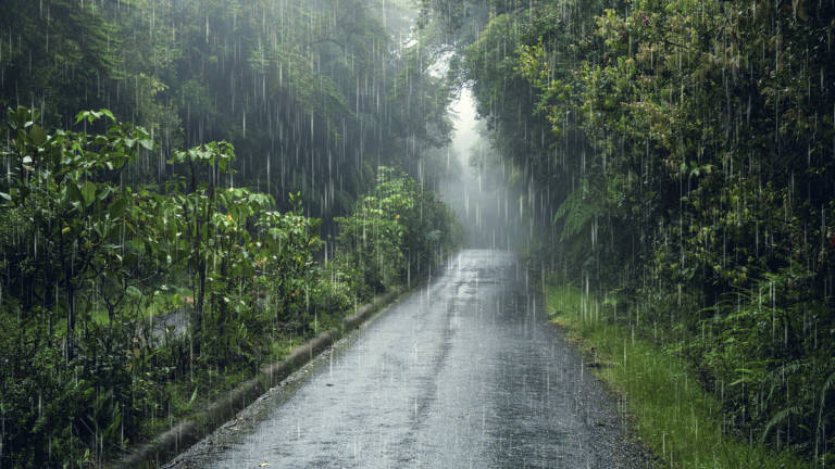 Pix for representational purposes. - FREEPIK