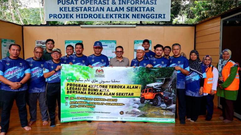 Bernamapix