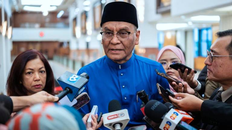 Bernamapix